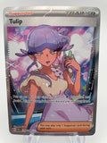 Tulip PARen 244/182