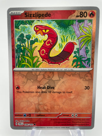 Sizzlipede TEFen 036/162 Reverse Holo RH